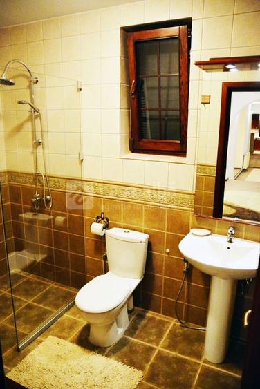 Proprietate unica, independenta energetic, zona Bucium - 28