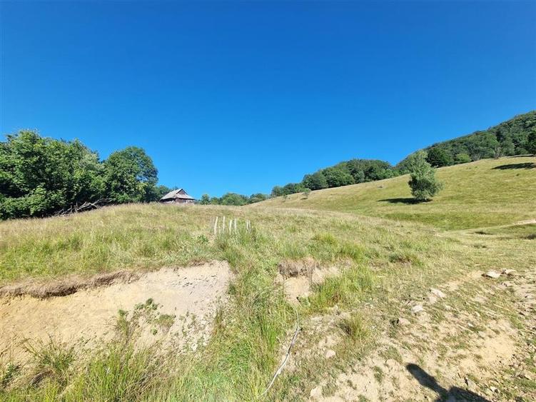 RECO teren extravilan Remeti - 7