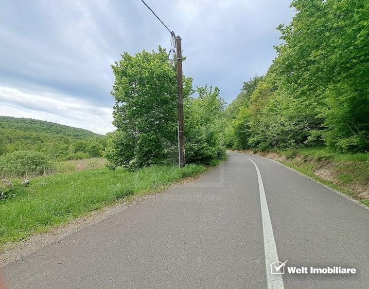 Teren 5000 mp,  la 300 m de Lacul Micesti - 4