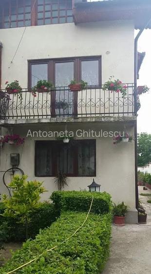 Casa de vanzare ,vila