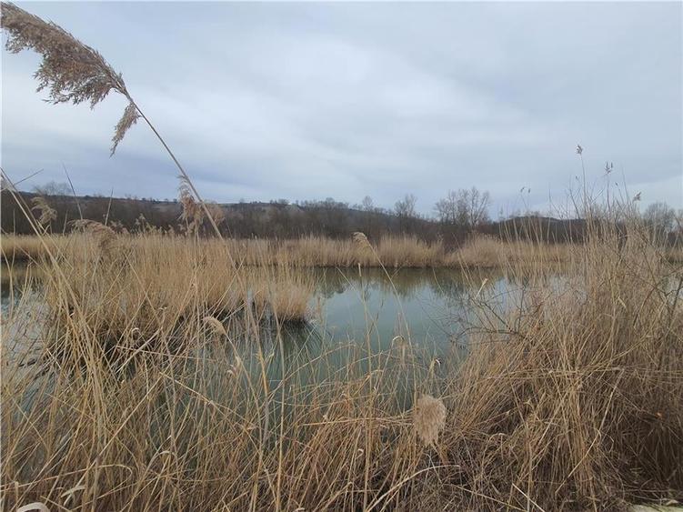 Oferta teren 5820mp optim casa  de vacanta -zona lacuri private Colun - 8