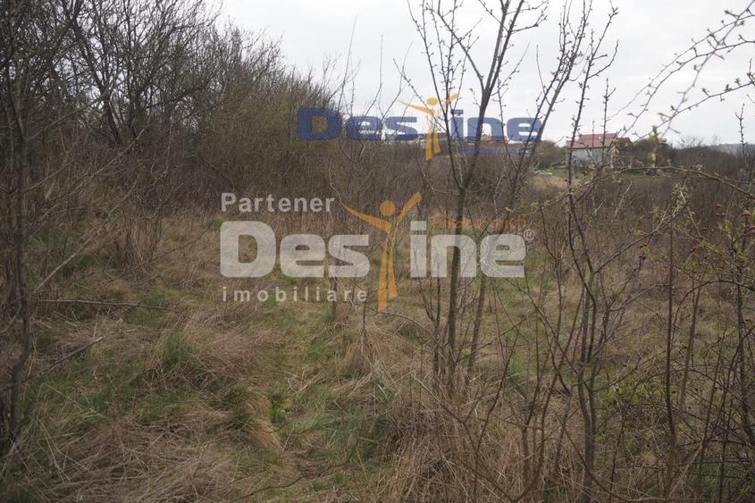 VAND CASA DEMOLABILA+6700 MP TEREN,PRIVELISTE PANORAMICA,DEJ - 5