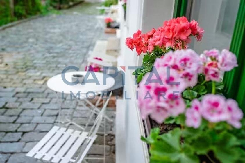 Comision 0!Vanzare 2 apartamente Ultracentral, Cluj-Napoca. - 14