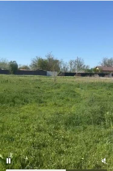 Teren intravilan Mariuta cu vedere la lac 5000 mp, 42 km de Bucuresti - 2