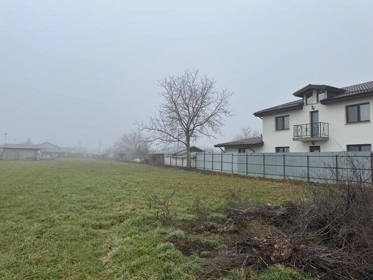 Vanzare Teren construibil 1800mp Magurele  Darasti  ilfov - 8