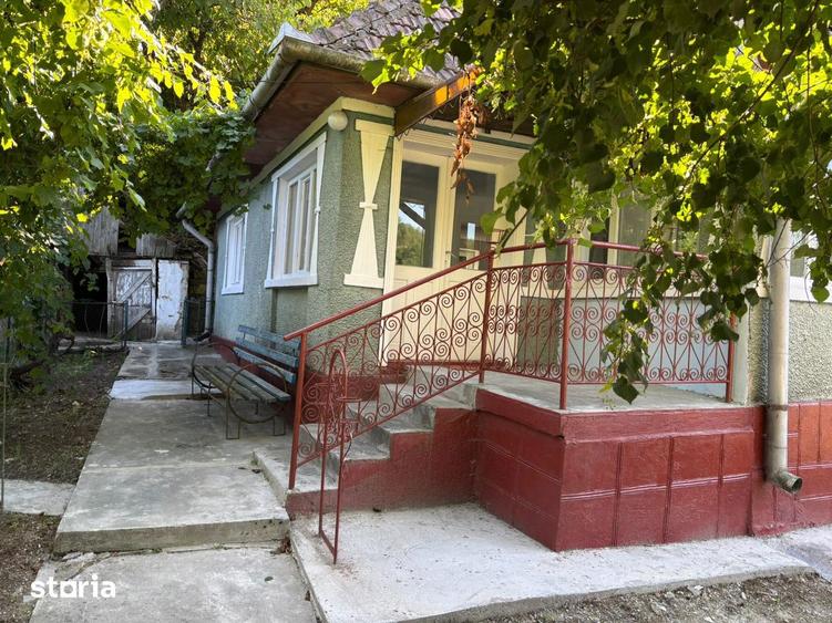 Casa de locuit in sat Dabaca jud Cluj - 2