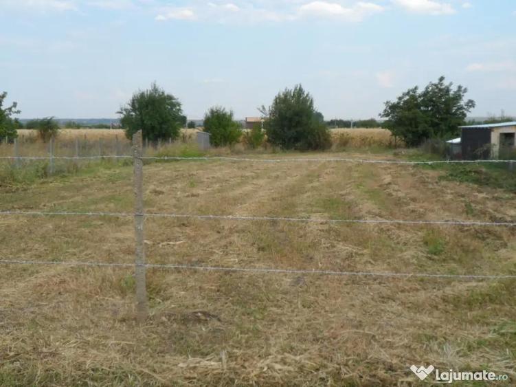 Vand 2 terenuri Munteni 1000mp fiecare - 1