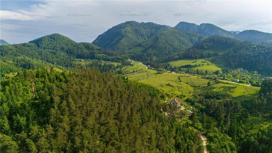 Vila superba langa natura 6 Camere D+P+E - 16