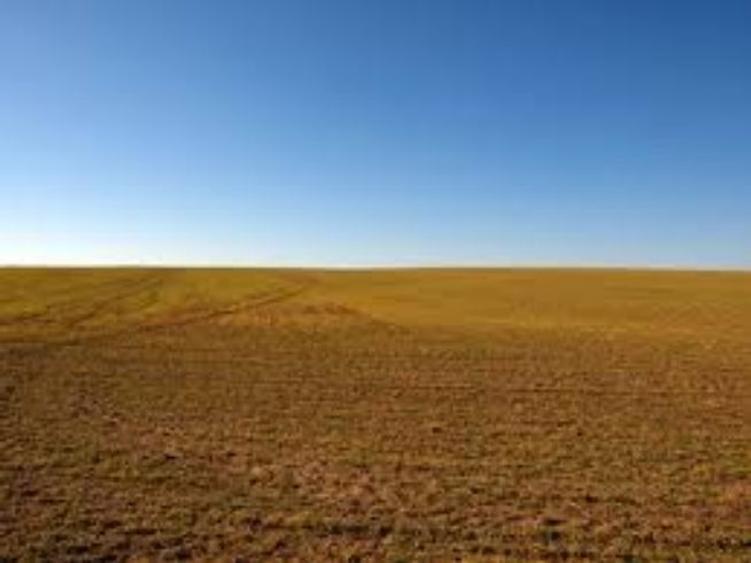 9,2 ha teren agricol la Poiana Mare judetul Dolj - 1