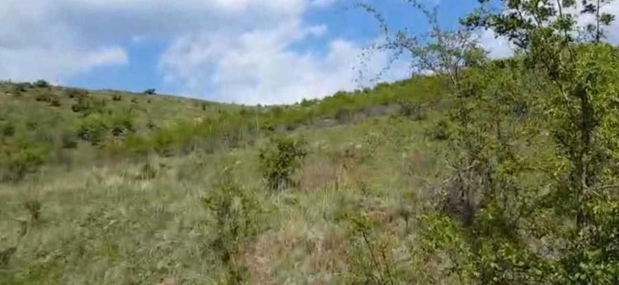 De vanzare teren compact - 7 ha - 1