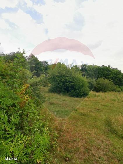Teren de 5400 mp, în Mănești