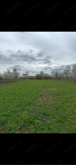 Teren de 4138 mp, în Babșa