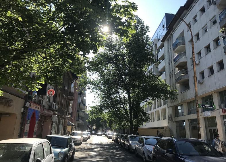 Birou, de 6,250 mp, în Dacia