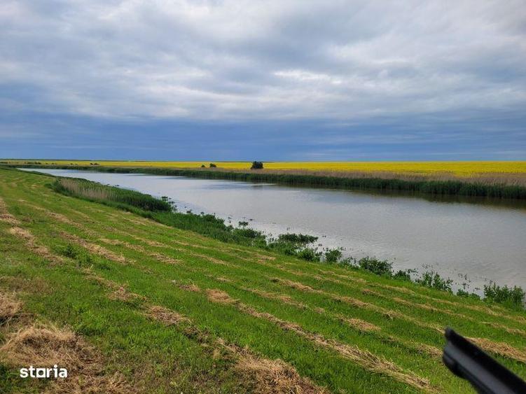 Teren de 395 mp, în Frumușani
