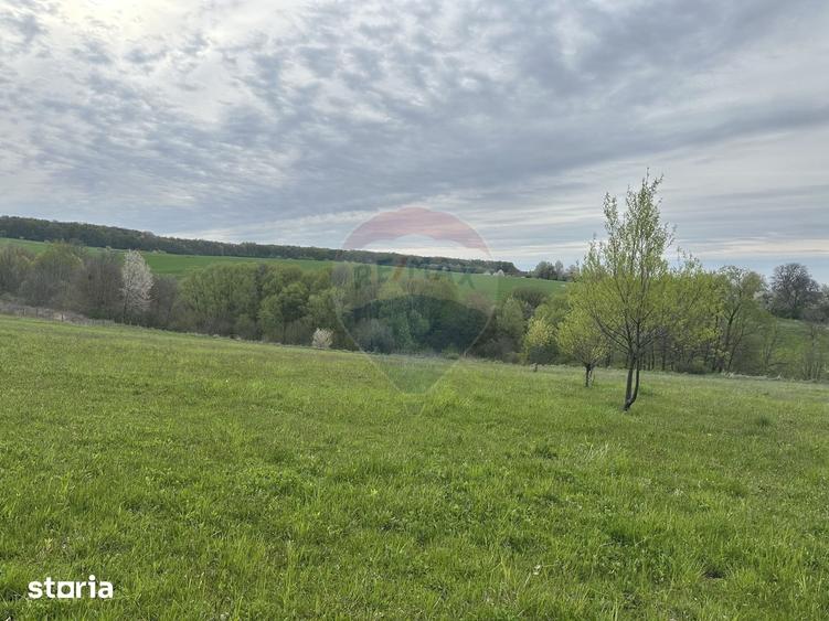 Teren de 3000 mp, în Bodești