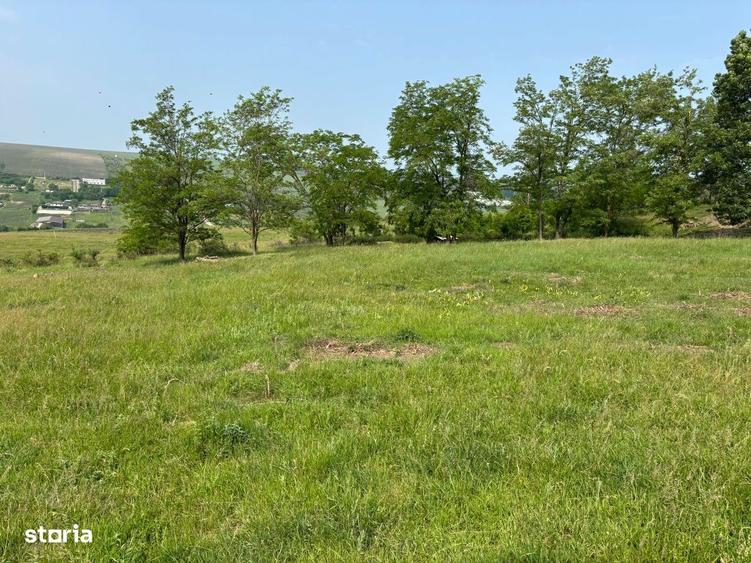Teren extravilan Dealul Fanatelor/ ideal investitie - 1