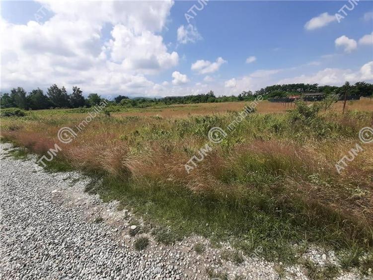 Teren Intravilan pe Valea Avrigului loc Avrig suprafata 7100 mp - 1