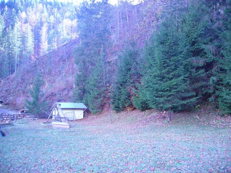 Lepsa Vrancea ,zona retrasa linistita si sigura,cabana si teren de vanzare - 8