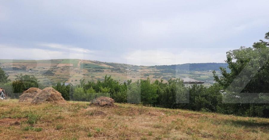 Teren intravilan construibil 2000 mp, Valea Chintaului, curt - 2