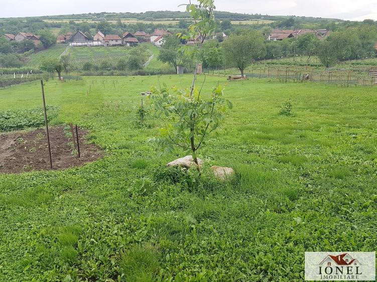 Teren intravilan de vanzare in Henig - 1