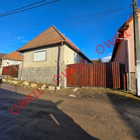 Casă familiară de vânzare în Bixad! - 2