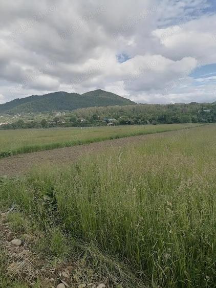 Teren intravilan 3900 mp Negre?ti - 1