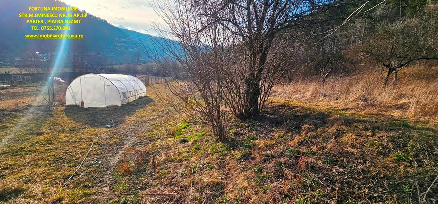 Casa+ Anexa+ Teren 6000 mp, la 10 minute de oras, com.Garcina - 9