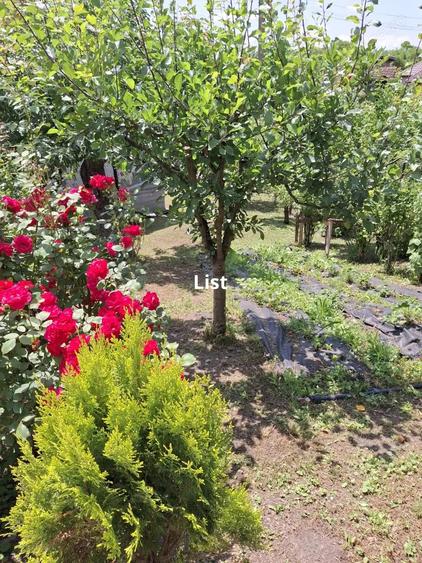 Casa 3 dormitoare la rosu Drajna - 5