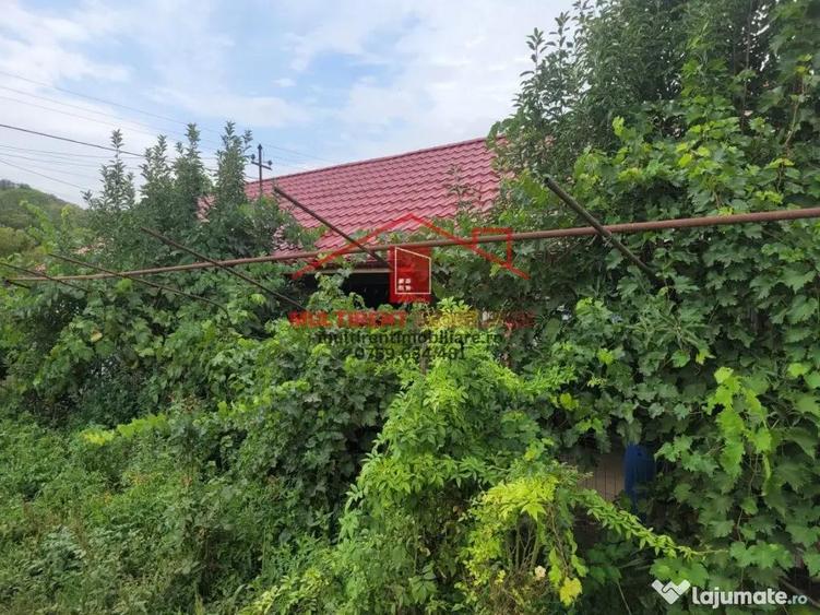 Casa in Telita cu vedere spre padure! - 8