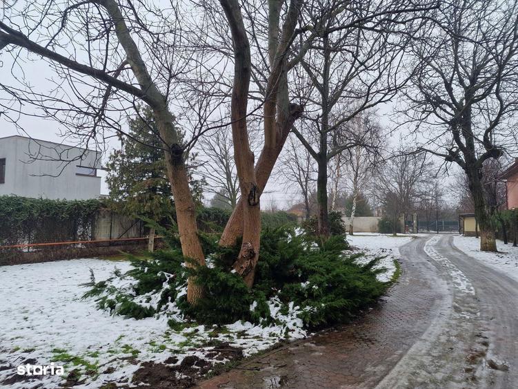 Buftea teren pe colt cu dubla deschidere 500 mp AConstruire P+E - 8