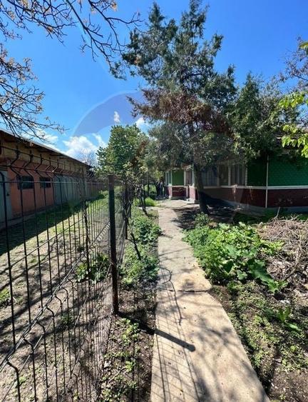 Casă  de vanzare+teren, com Belciugatele, Calarasi - 3