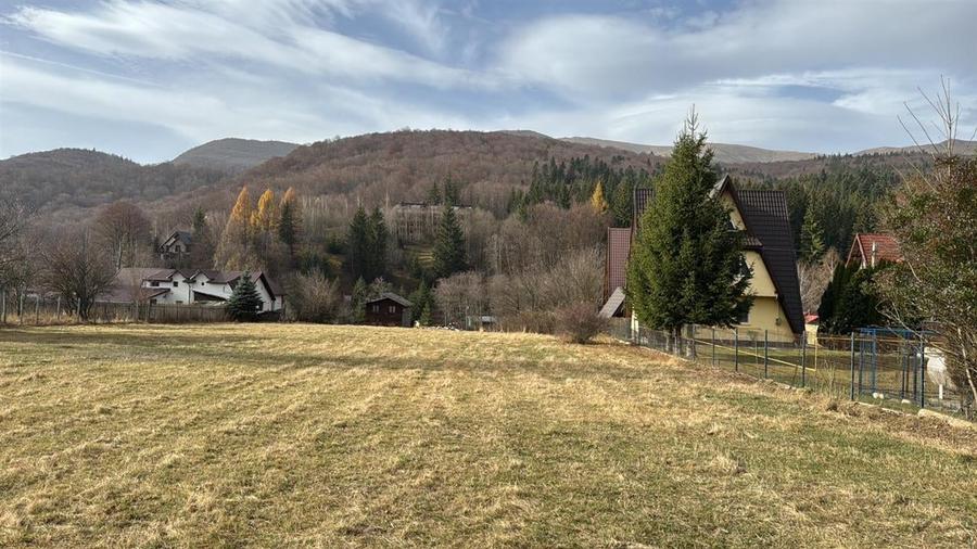 Teren de vanzare 1000 m2 Cheia - 4