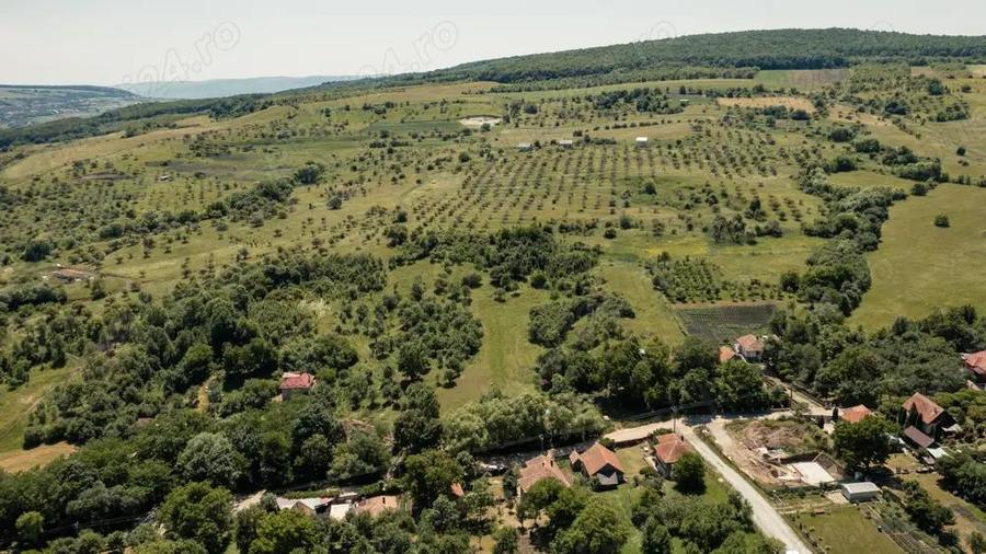 Exclusivitate! Teren pentru investitie - 1