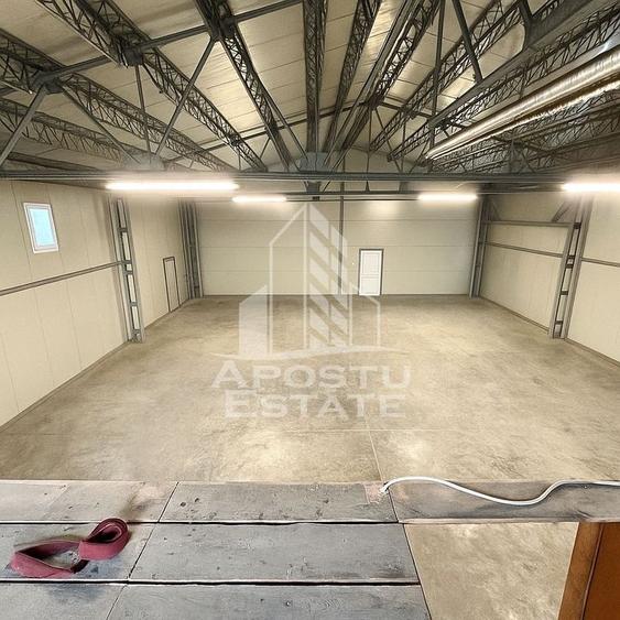 Hala depozitare, parcare, Dumbravita - 1
