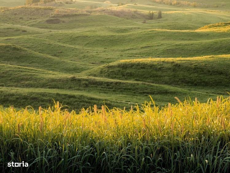 Vanzare Teren Extravilan Arabil, Pasune Chesint, Zabrani Arad, 48.86ha - 6