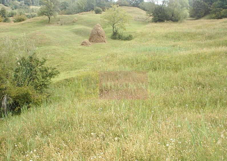 Teren extravilan de vanzare in Telega - 2
