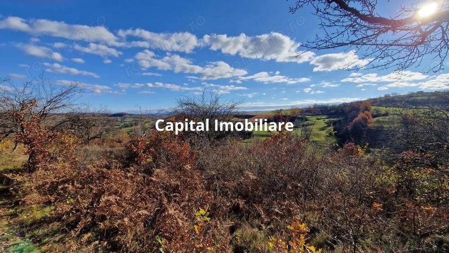 Teren de vanzare in Gro?i, Maramure?, 55 ari - 7