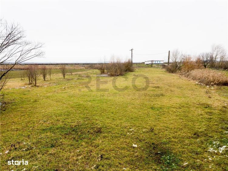 RECO . Teren intravilan cu hala metalica in Roit . - 1