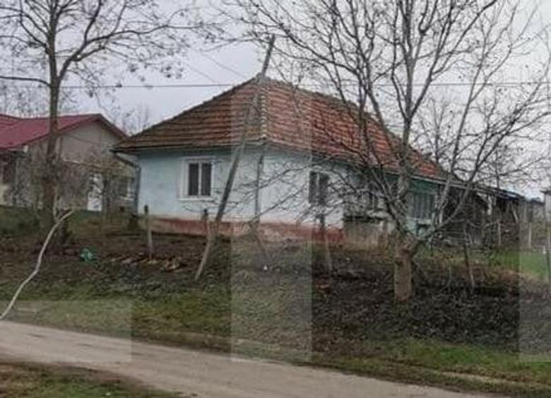 Investitie ! Casa individuala 1 camera, 51 mp, 3000 mp teren, Geaca ! - 1