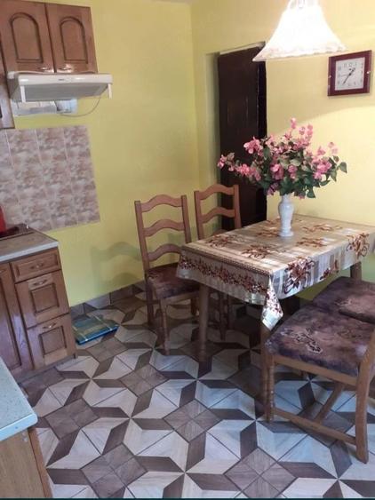 Vand casa in satul Vasile Goldi? comuna Beliu jud Arad - 7