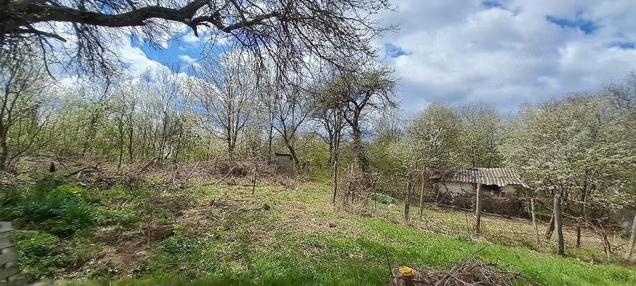 Proprietar, vand 2 case pe un picior de Plai, cu priveliste superba, in Provita de Sus, Prahova - 5