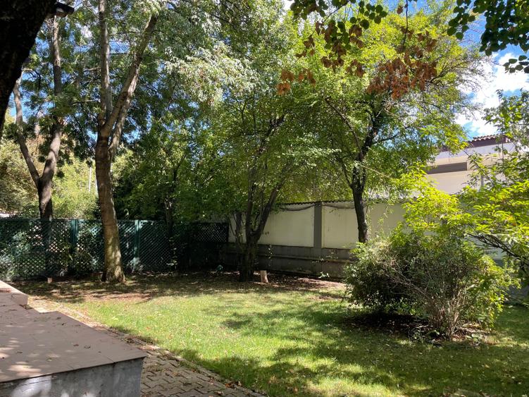 Iancu Nicolae vila 5 dormitoare gradina matura - 13