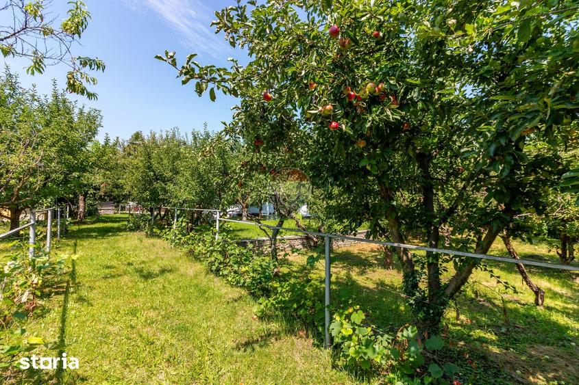 Casă cu Teren 3425 Mp în Gura Vitioarei