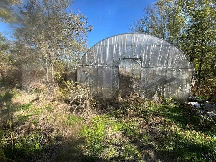 Casa tradi?ionala cu teren 4.500 mp ?i anexe gospodare?ti Sat bolovani - 15