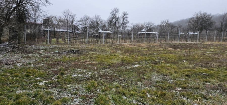 VÂNZARE MOȘIE – Sat Mitrofani, Comuna Mitrofani, jud. Vâlcea - 4