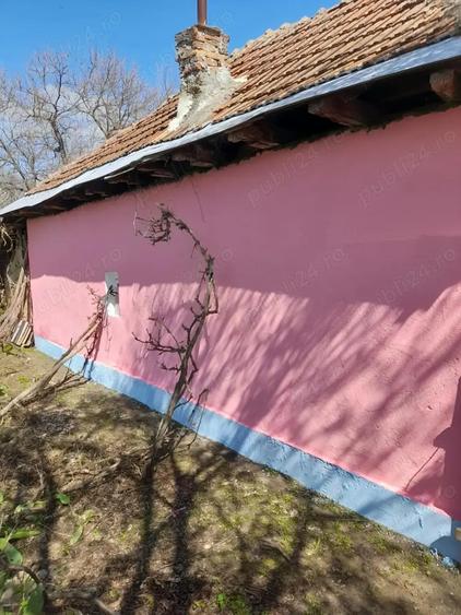 De vanzare casa la ?ara nu se adreseaza pretentiosilor - 1
