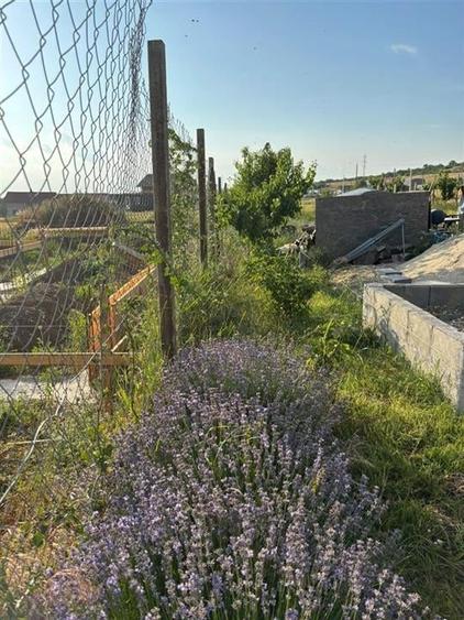 RECO Teren intravilan Betfia - 5