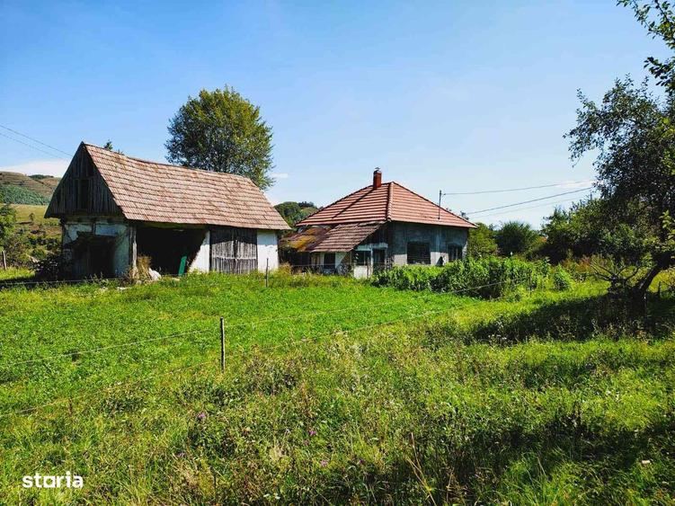 Casa Valisoara la pretul corect. - 2