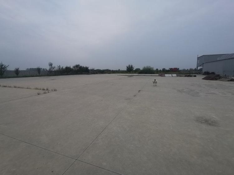 Hala Padureni 300 mp - 6