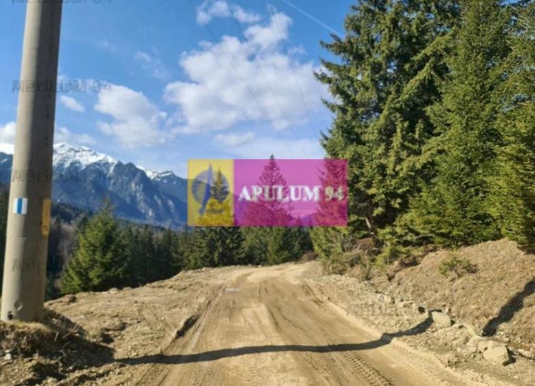 Teren de v&acirc;nzare &icirc;n Predeal - Zona Forban - 5